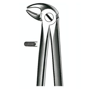 E13 Forceps N.13 Premolar Inf.