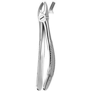 39 Forceps Niños Molar Sup.