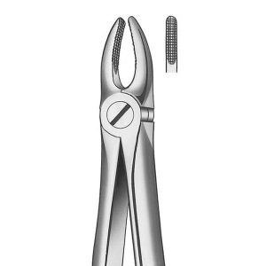 M2002 Forceps Incis-Canino Sup