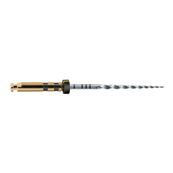 Limas Protaper Gold F4 25Mm. 6U. (A0411-4) - Imagen 2